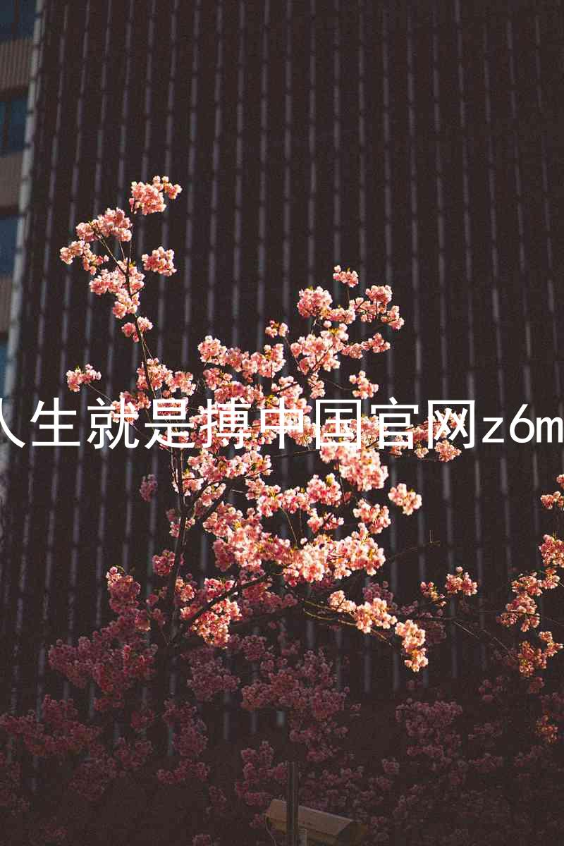 人生就是搏中国官网z6mg